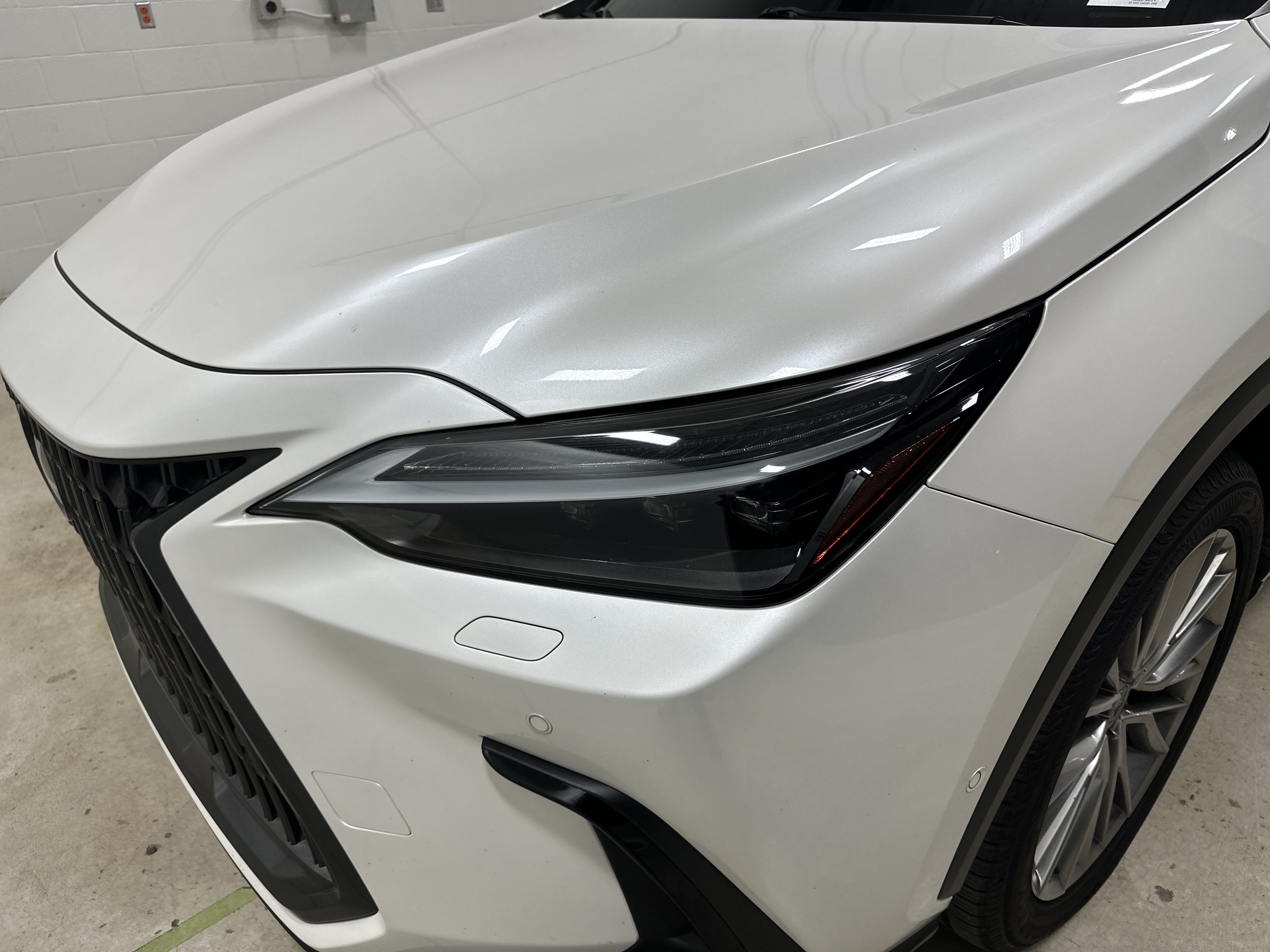 Used 2024 Lexus NX 350h AWD w/ Vision Package image 6