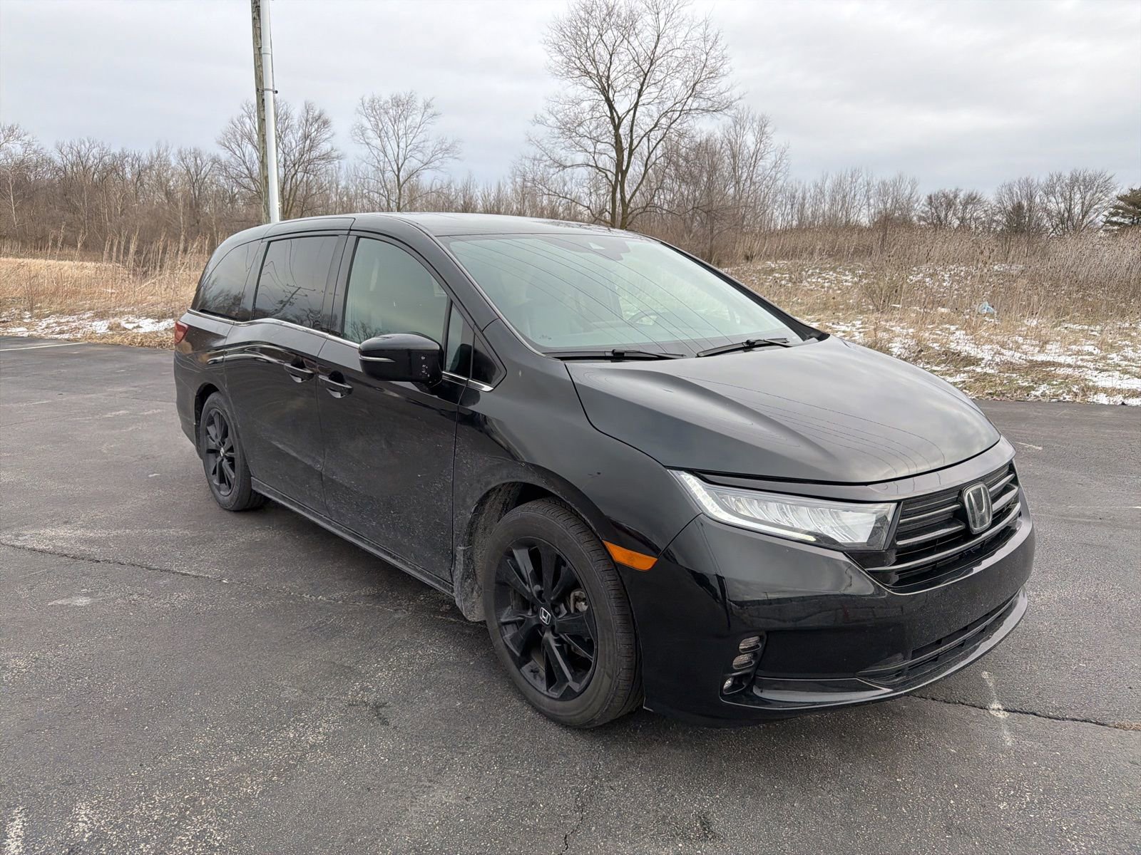 Used 2024 Honda Odyssey Sport image 8