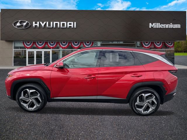 Certified 2023 Hyundai Tucson Limited image 5