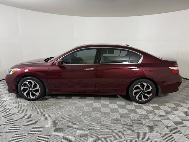 Used 2017 Honda Accord EX-L image 3
