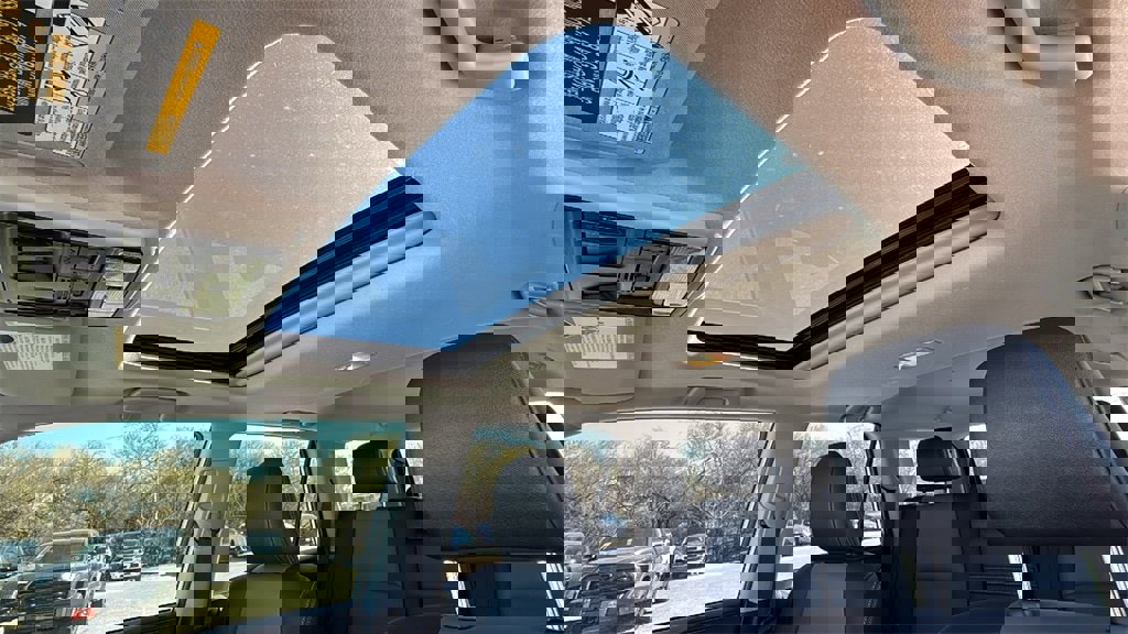 Certified 2019 Toyota 4Runner SR5 Premium image 12