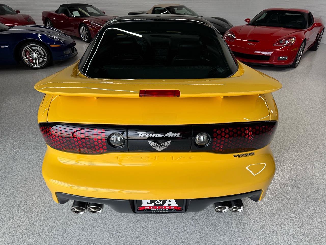 Used 2002 Pontiac Firebird Trans Am RWD image 12