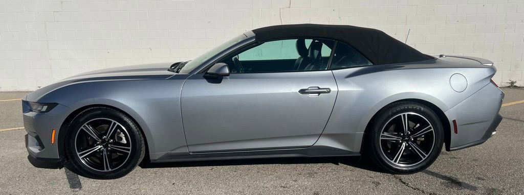 Used 2024 Ford Mustang Premium RWD image 2
