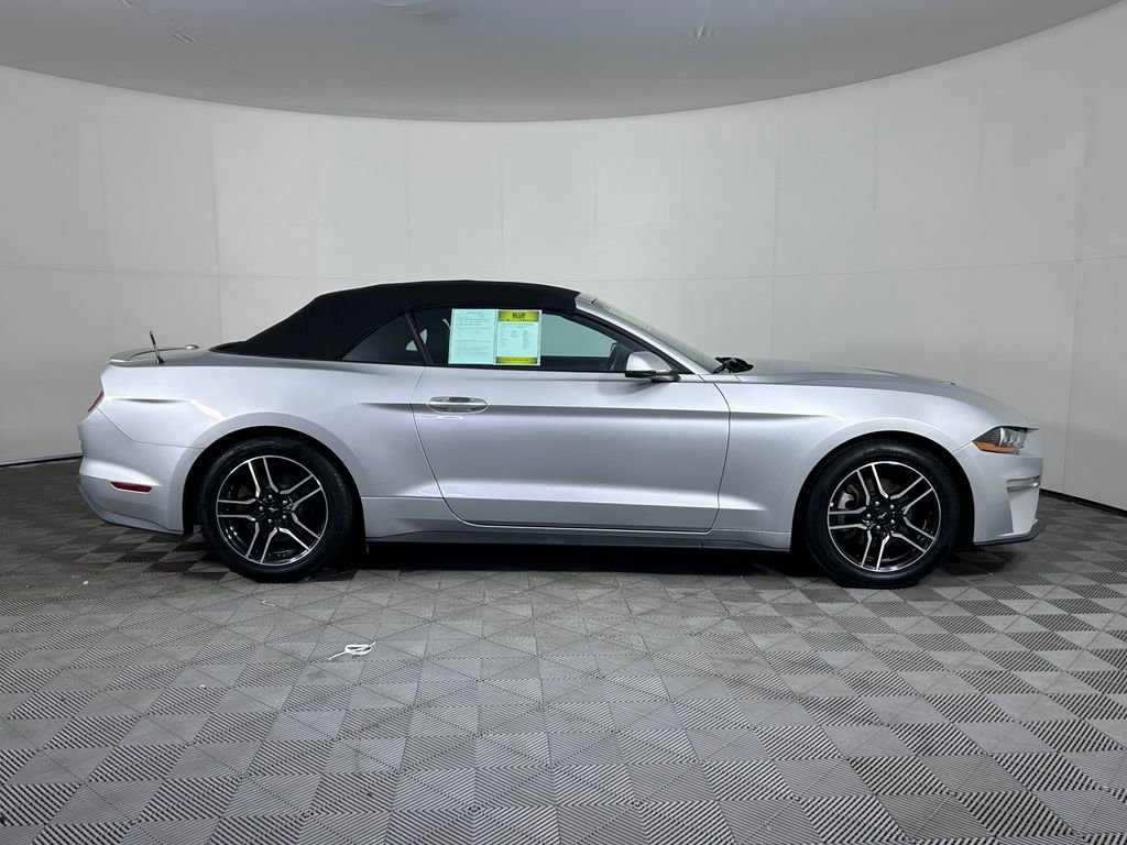 Used 2019 Ford Mustang Premium image 5