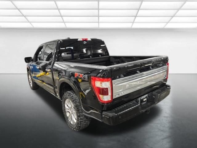 Used 2021 Ford F150 Platinum w/ Equipment Group 701A High AWD/4WD image 7
