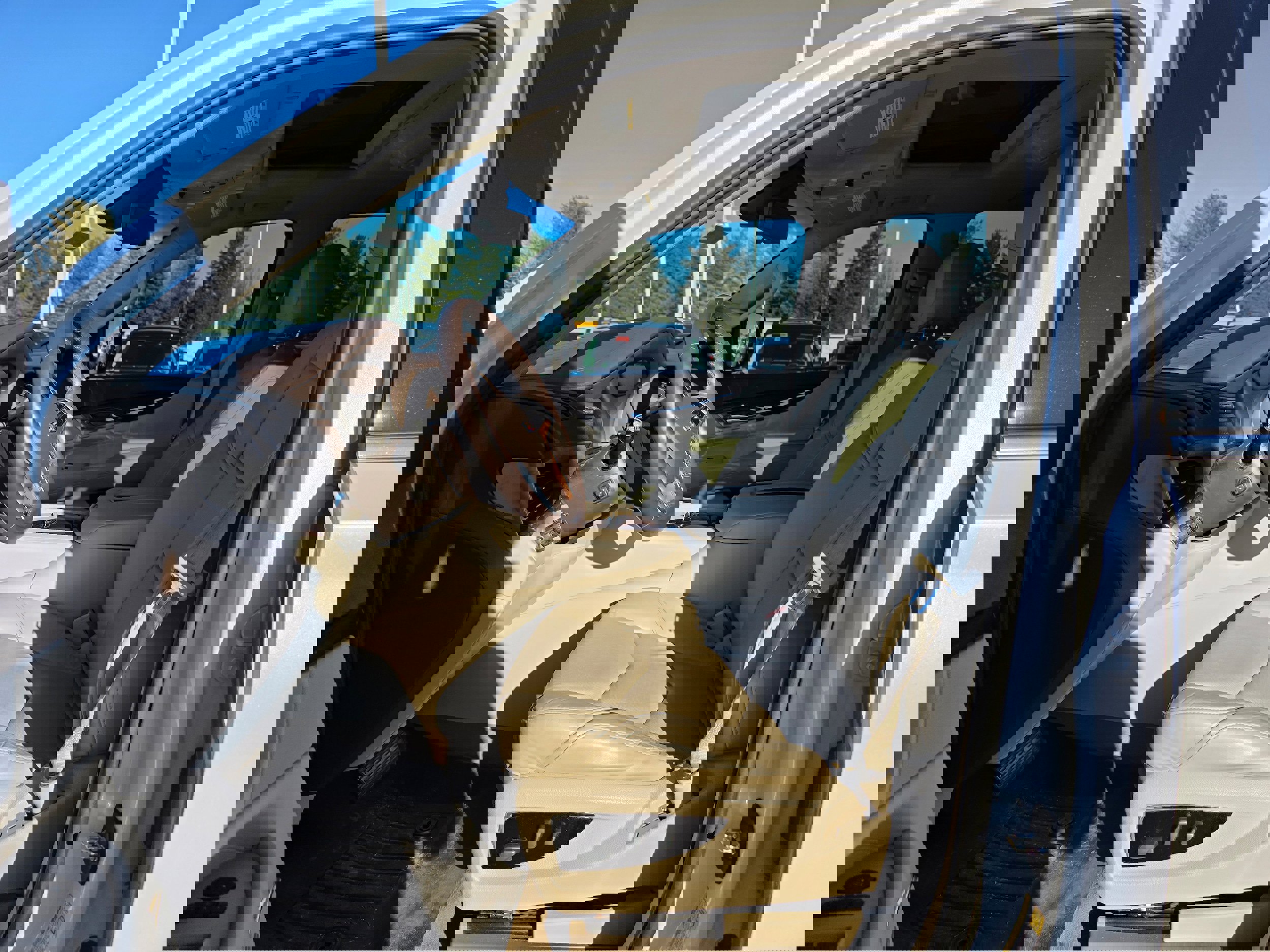 Used 2017 Cadillac Escalade Premium Luxury image 19