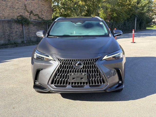 Used 2024 Lexus NX 350 AWD image 2