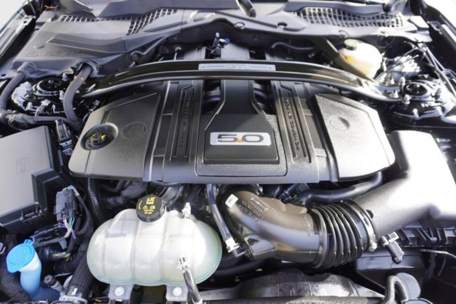 Used 2022 Ford Mustang GT Premium w/ Equipment Group 401A image 15