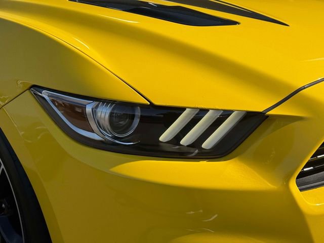 Used 2017 Ford Mustang GT Premium w/ Equipment Group 401A image 13