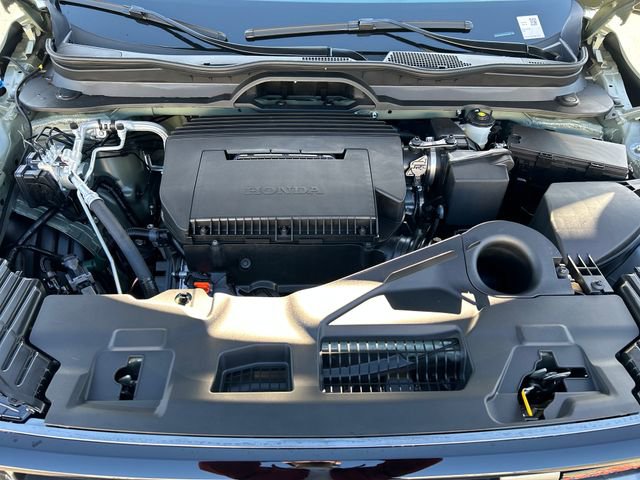 New 2026 Honda Pilot TrailSport image 34