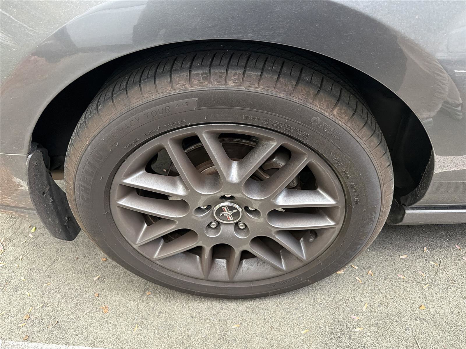 Used 2013 Ford Mustang Premium image 12