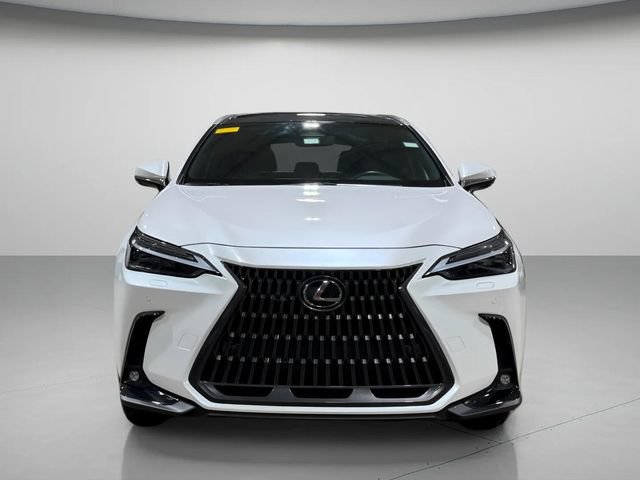 Used 2025 Lexus NX 350h AWD w/ Cold Area Package image 7