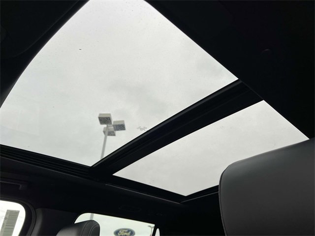 New 2025 Ford Expedition Max Platinum w/ Stealth Performance Package image 28