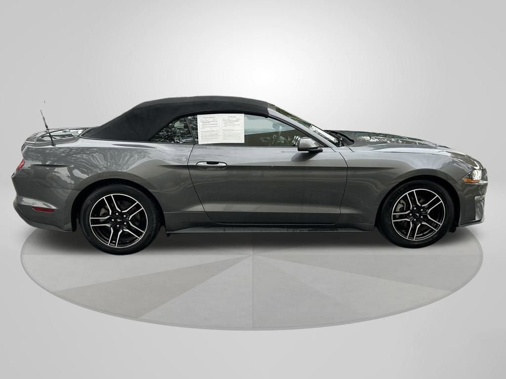 Used 2023 Ford Mustang Premium w/ Equipment Group 201A image 8