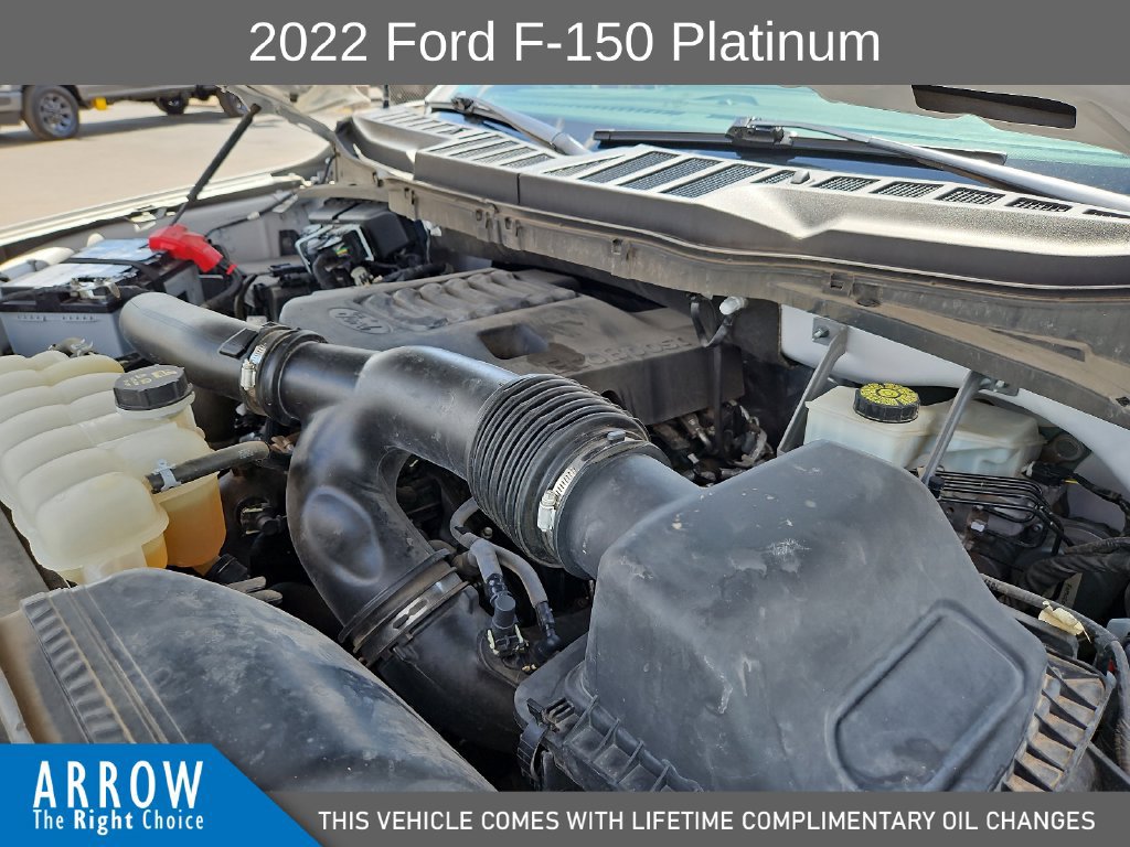 Used 2022 Ford F150 Platinum w/ Equipment Group 701A High AWD/4WD image 15