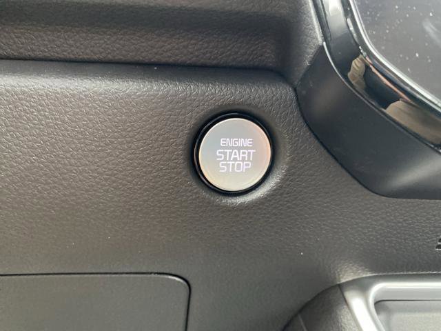 New 2026 Kia Carnival SX Prestige image 35