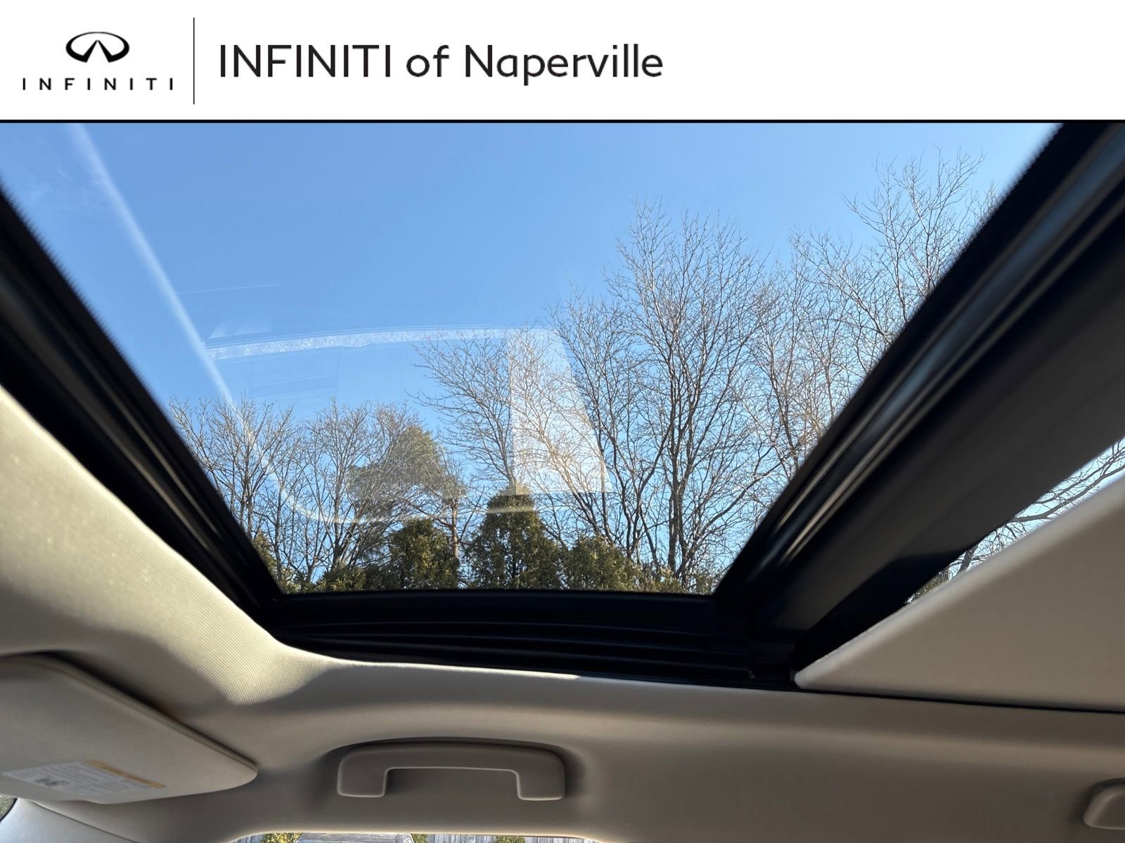 New 2026 INFINITI QX80 Luxe w/ Cargo Package image 21