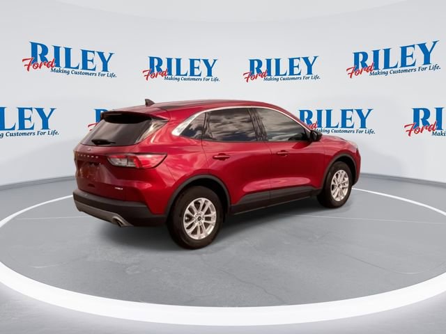 Used 2022 Ford Escape SE w/ Cold Weather Package AWD/4WD image 9