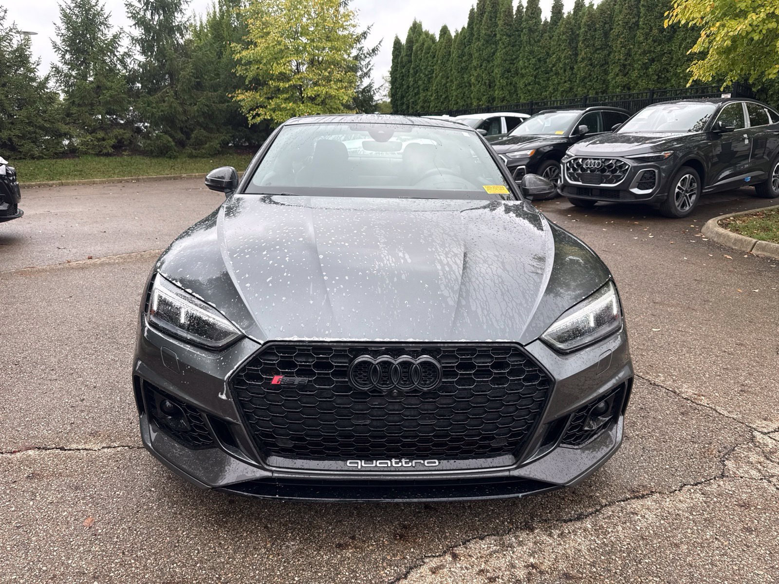 Used 2019 Audi RS 5 w/ Black Optic Carbon Package AWD/4WD image 8