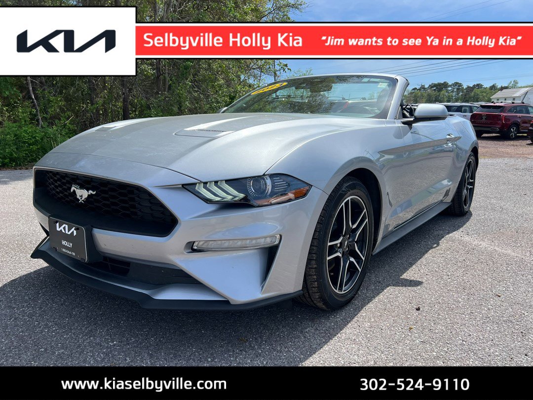 Used 2023 Ford Mustang Premium image 1