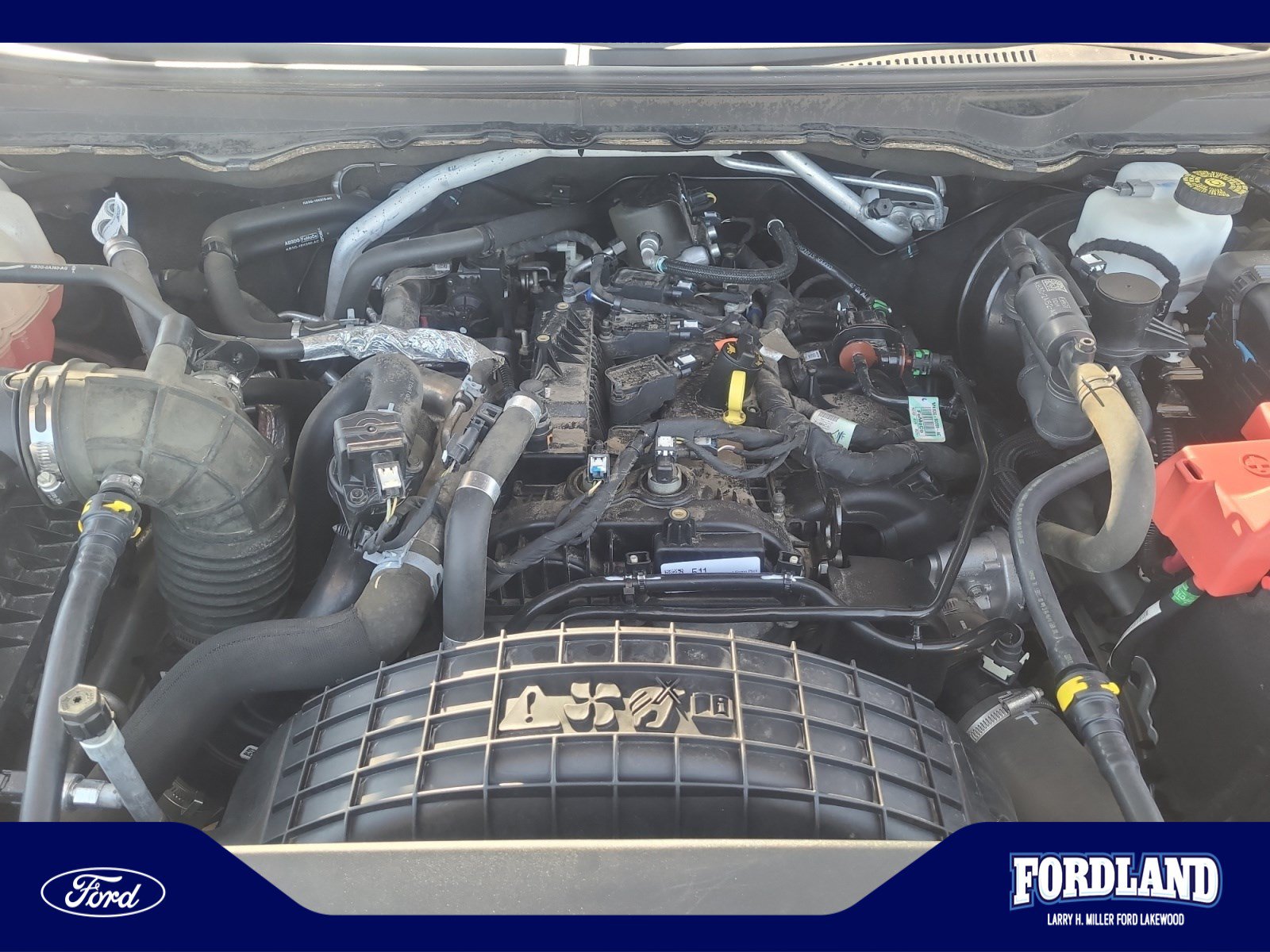 Used 2019 Ford Ranger XLT w/ Equipment Group 302A Luxury AWD/4WD image 22