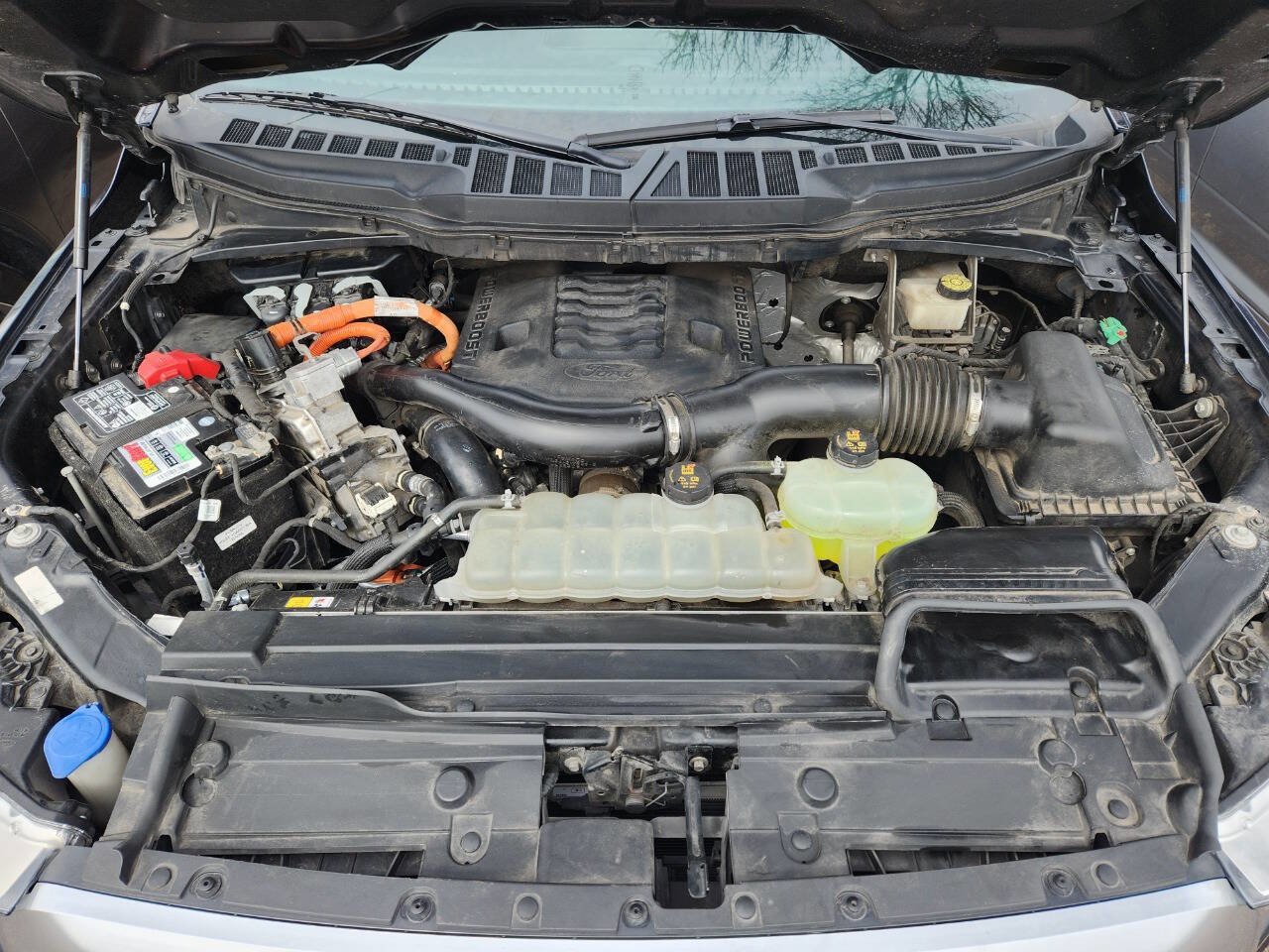 Used 2021 Ford F150 Platinum w/ Equipment Group 701A High image 32