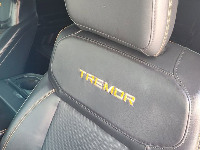 Used 2026 Ford Expedition Tremor image 16