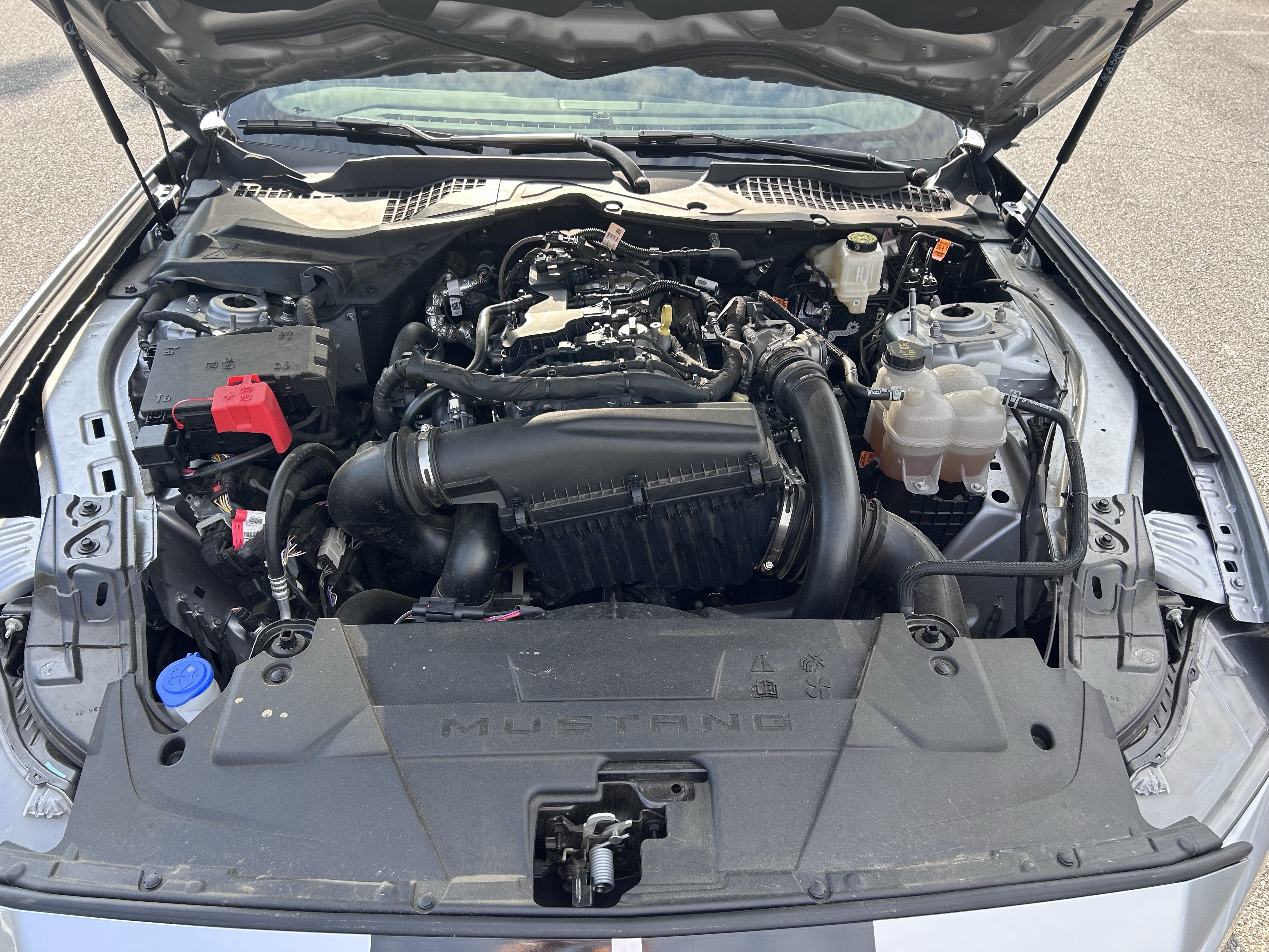 Certified 2025 Ford Mustang Coupe RWD image 19