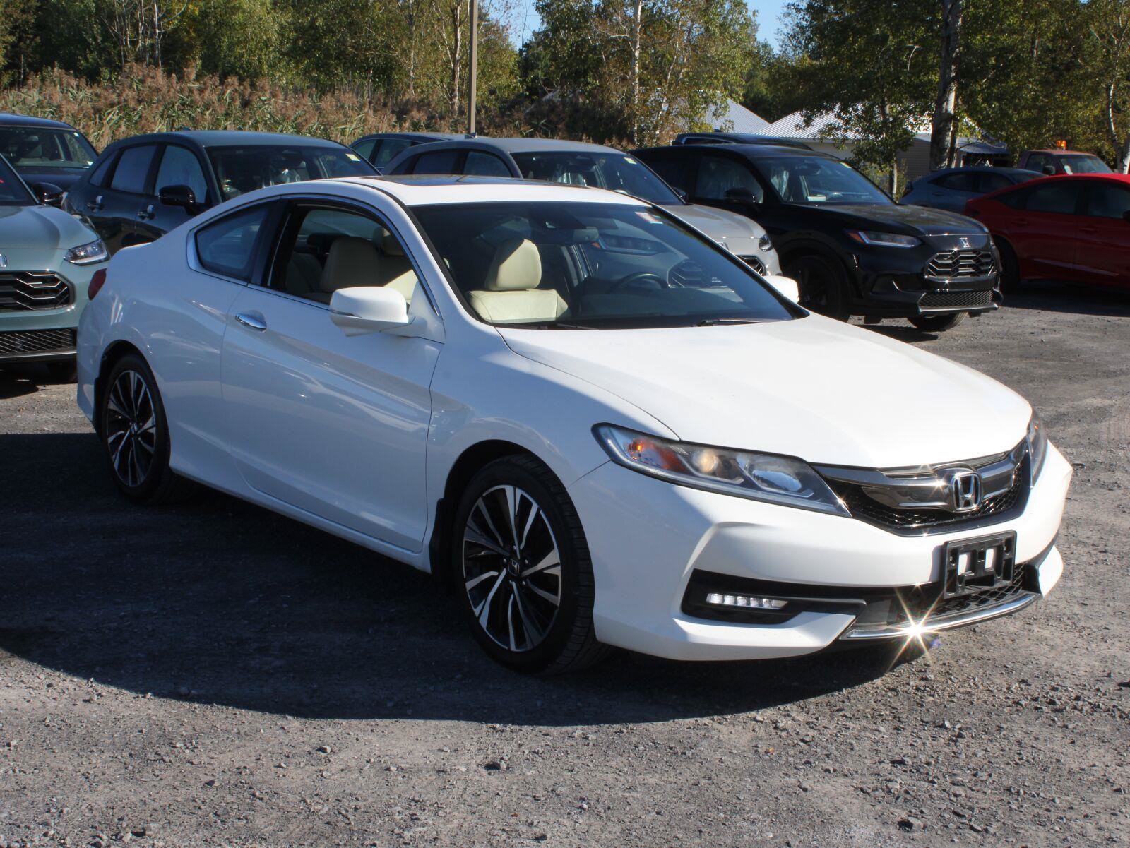 Used 2016 Honda Accord EX-L image 3