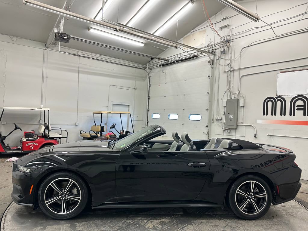 Used 2024 Ford Mustang Premium image 15