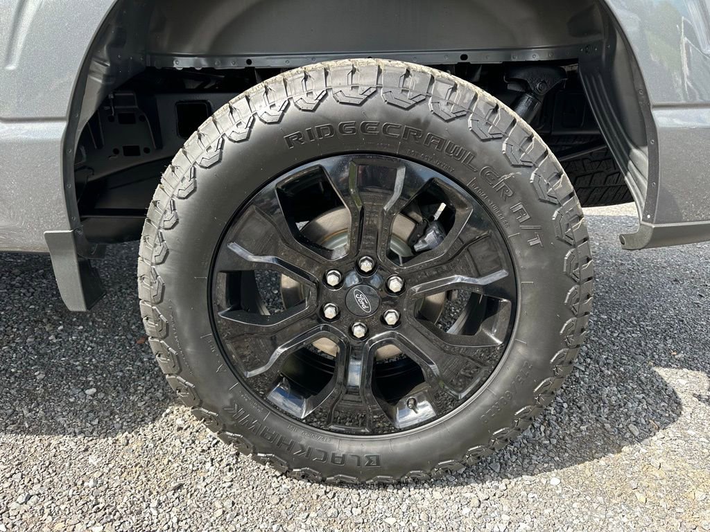 Used 2023 Ford F150 XLT w/ Equipment Group 302A High AWD/4WD image 15