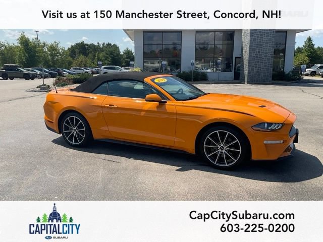 Used 2019 Ford Mustang Premium w/ Equipment Group 201A RWD image 1