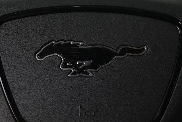 Used 2024 Ford Mustang Mach-E Select w/ Comfort Package Lite image 15