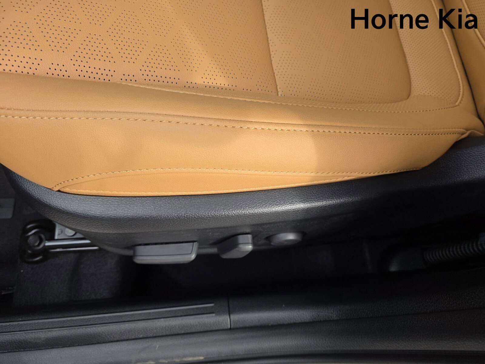 New 2026 Kia Seltos EX w/ EX Sunroof Package image 13