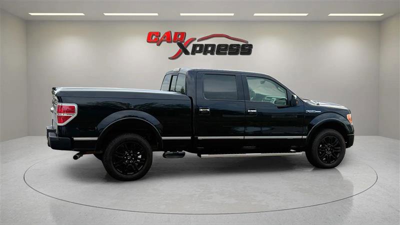 Used 2010 Ford F150 Platinum image 7
