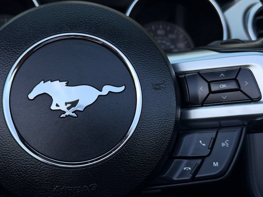 Used 2019 Ford Mustang Premium RWD image 23