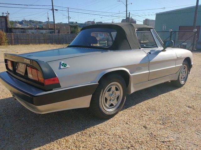 Used 1986 Alfa Romeo Spider Veloce image 17