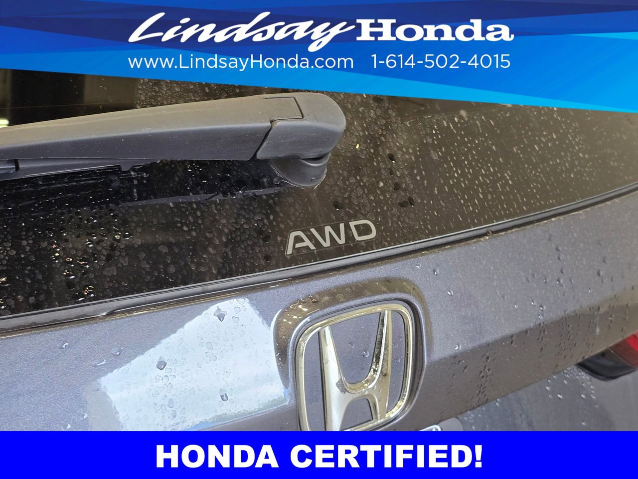 Certified 2025 Honda CR-V Sport-L image 7