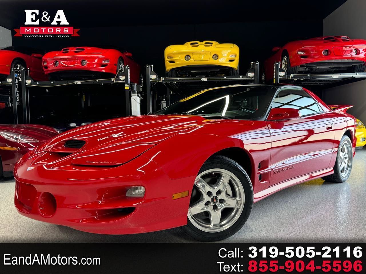 Used 2002 Pontiac Firebird Trans Am RWD image 1