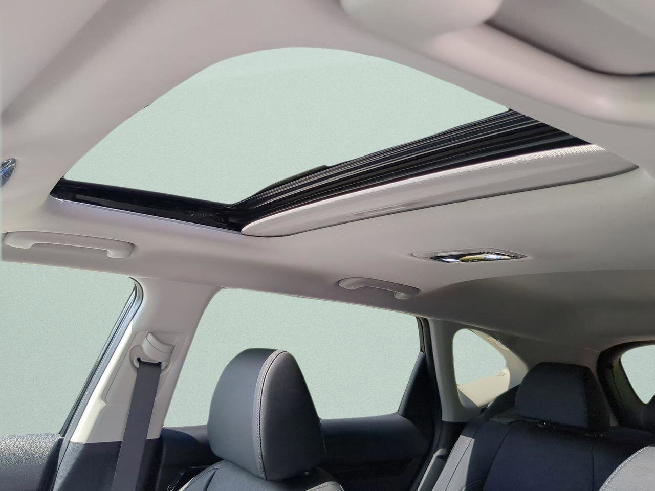 New 2026 Kia Seltos SX w/ SX Sunroof Package image 17