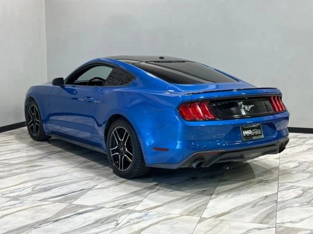 Used 2019 Ford Mustang EcoBoost w/ Equipment Group 101A image 8