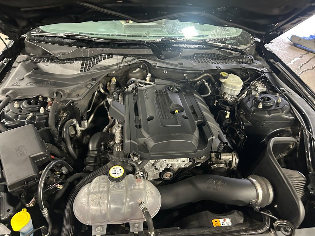 Used 2015 Ford Mustang Premium w/ Equipment Group 201A RWD image 29