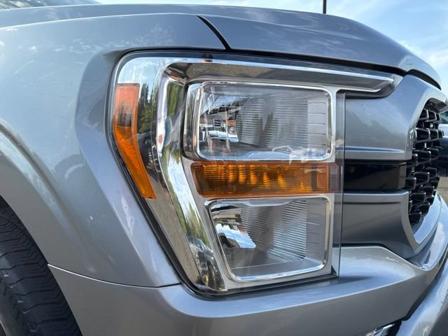 Used 2021 Ford F150 XL w/ STX Appearance Package AWD/4WD image 9