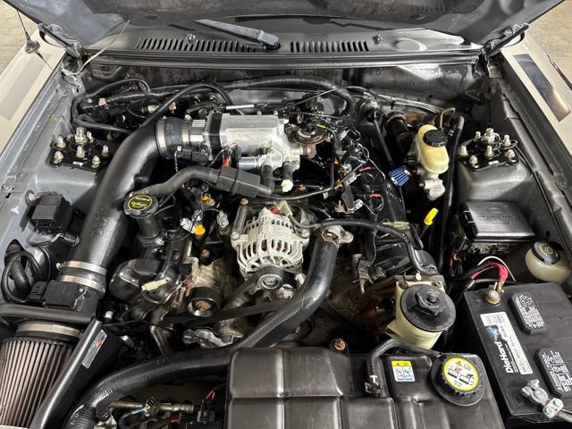 Used 2001 Ford Mustang GT RWD image 10