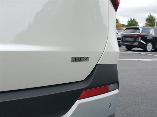 New 2026 Kia Carnival EX image 8