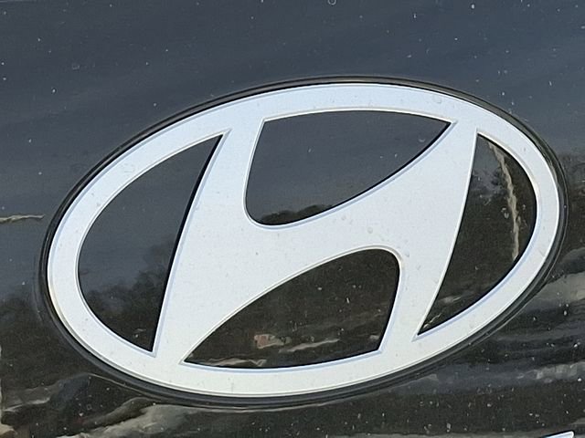 New 2026 Hyundai Palisade Calligraphy image 11