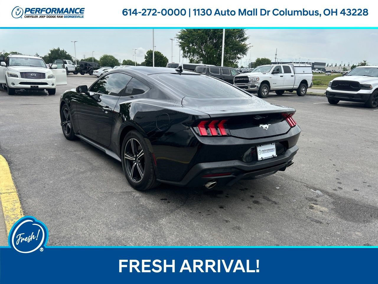 Used 2024 Ford Mustang Coupe RWD image 6