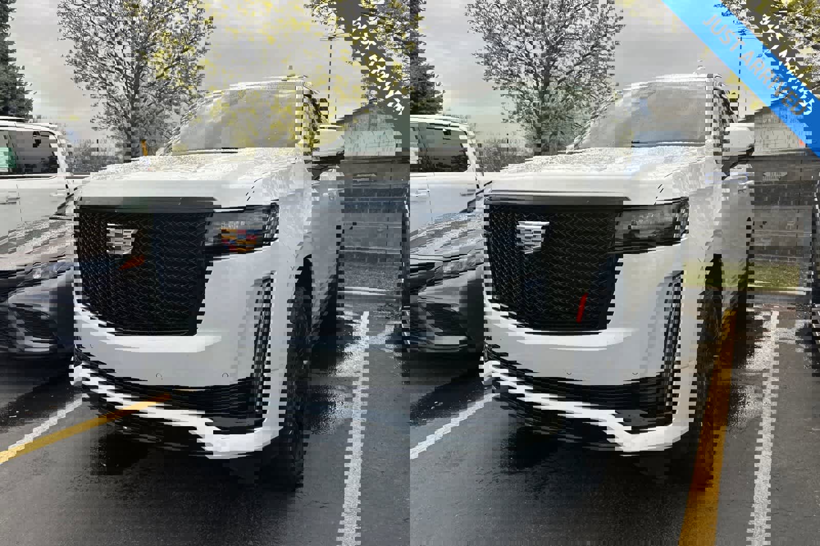 Used 2022 Cadillac Escalade Sport Platinum image 1