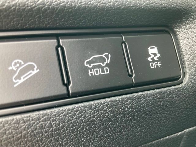 New 2025 Kia Telluride SX Prestige X-Line image 46