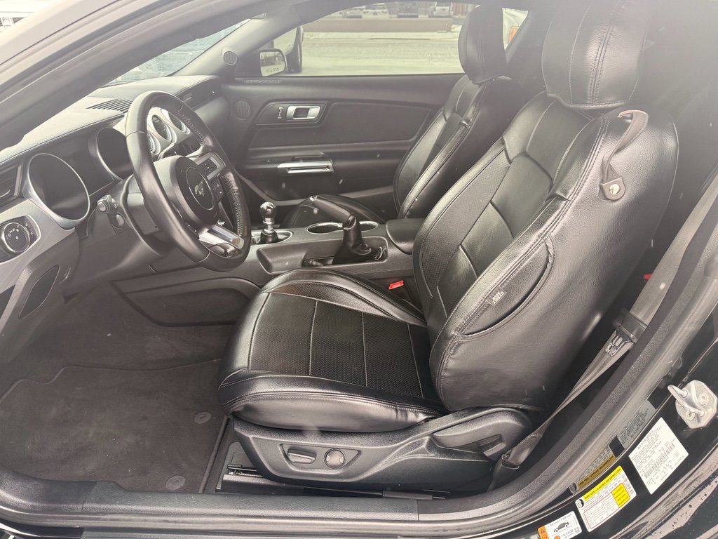 Used 2023 Ford Mustang GT w/ Equipment Group 301A image 10